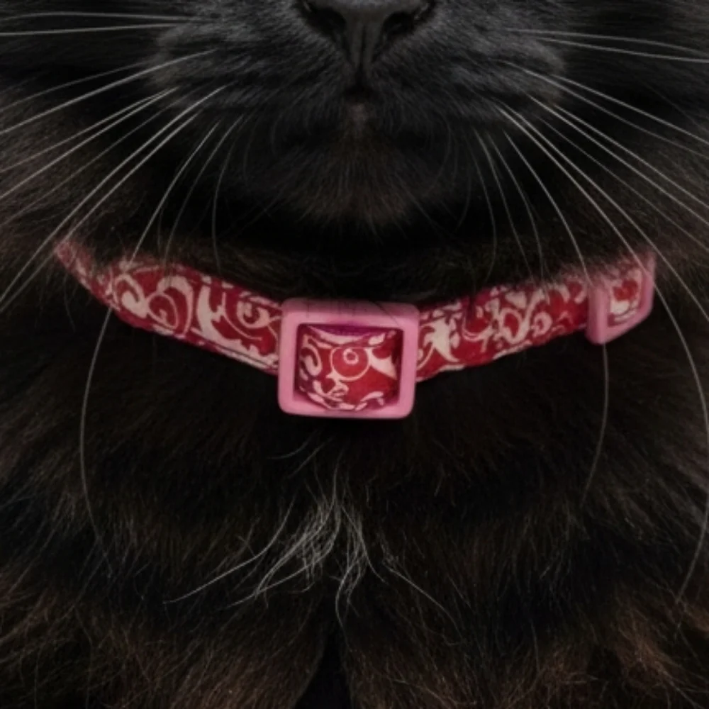Petco Pink red white paisley graphics breakaway kitten cat kitty collar S NWOT